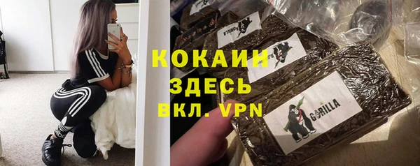 дмт Верея